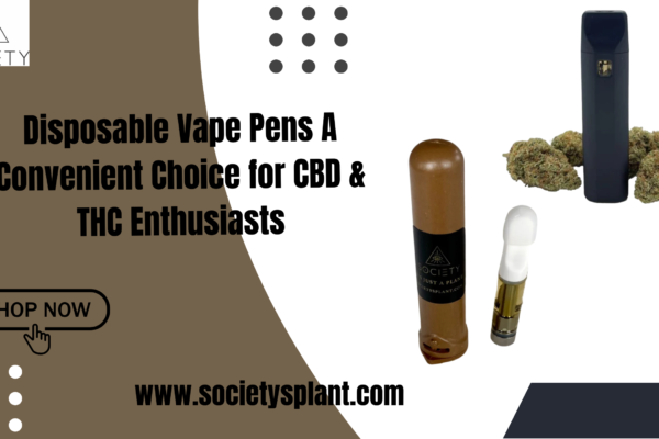 Disposable Vape Pens A Convenient Choice for CBD & THC Enthusiasts Disposable Vape Pen
