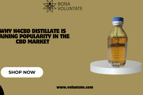 Why H4CBD Distillate Is Gaining Popularity in the CBD Market