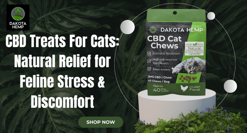CBD Treats For Cats