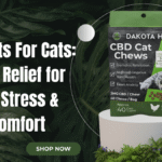 CBD Treats For Cats