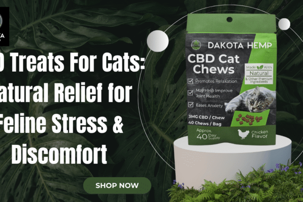 CBD Treats For Cats: Natural Relief for Feline Stress & Discomfort CBD Treats For Cats