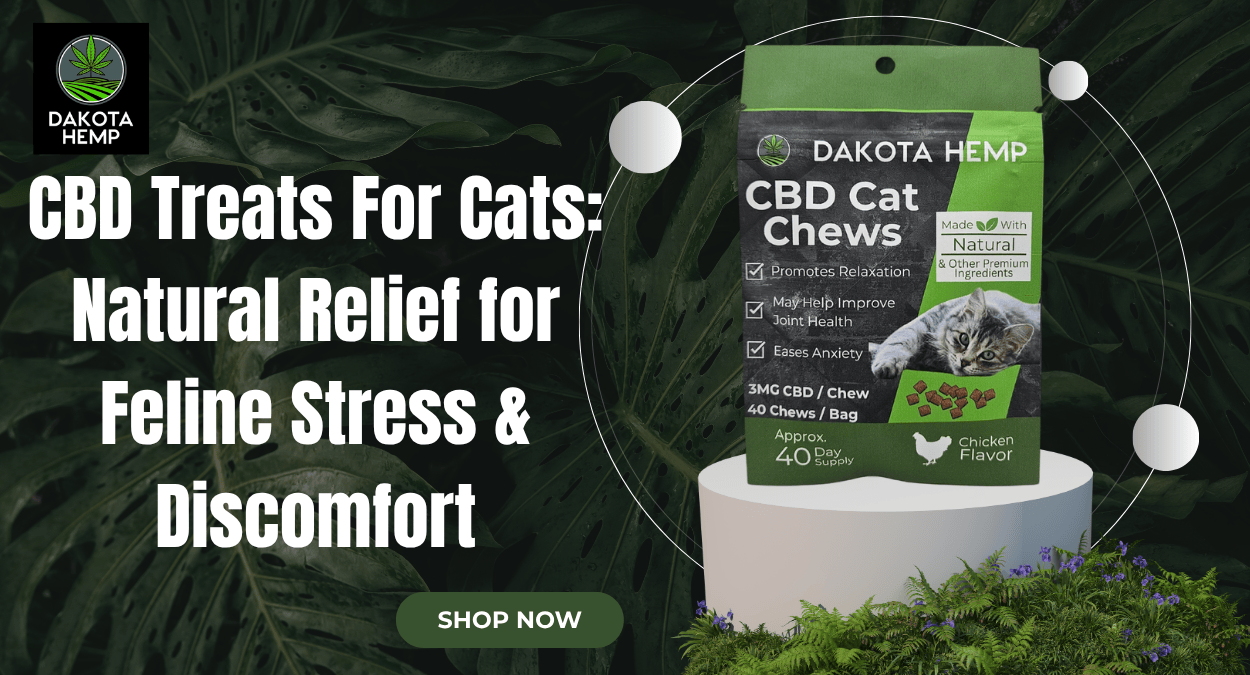 CBD Treats For Cats