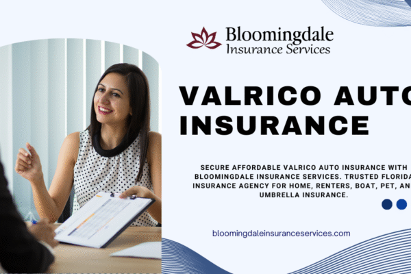 Comprehensive Guide to Valrico Auto Insurance with Bloomingdale Insurance Services Valrico auto insurance