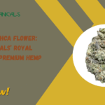 Gelato King THCa Flower