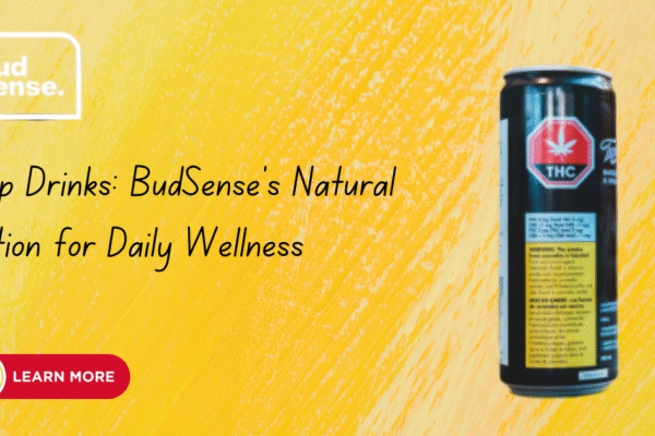 Hemp Drinks: BudSense’s Natural Solution for Daily Wellness
