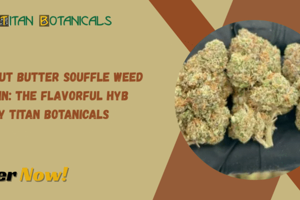Peanut Butter Souffle Weed Strain: The Flavorful Hybrid by Titan Botanicals Peanut Butter Souffle Weed Strain