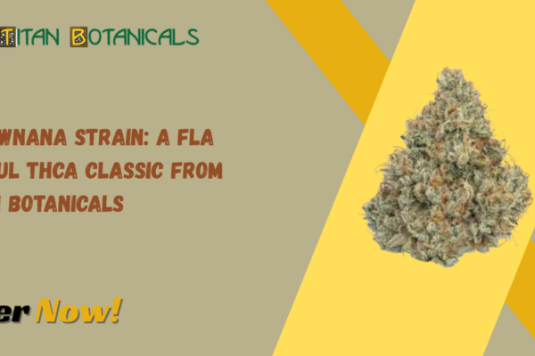 Strawnana Strain: A Flavorful THCa Classic from Titan Botanicals Strawnana Strain