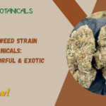 White Guava Weed Strain