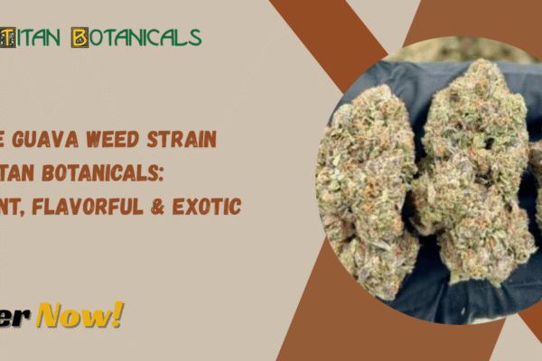 White Guava Weed Strain by Titan Botanicals: Potent, Flavorful & Exotic White Guava Weed Strain