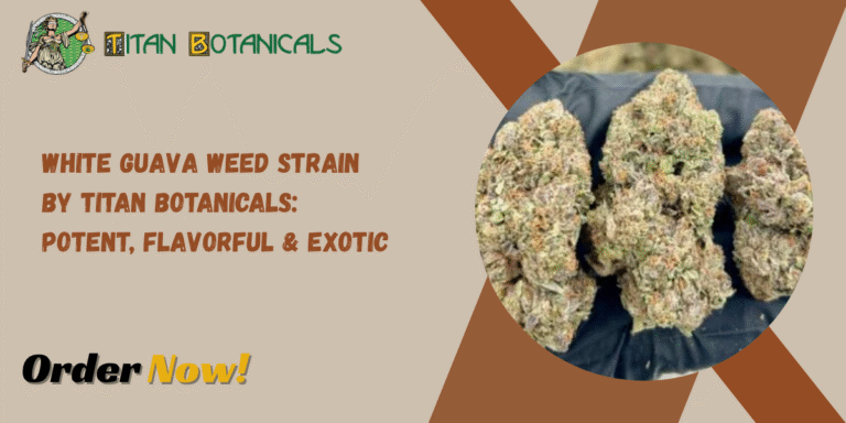 White Guava Weed Strain