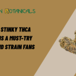 Mr Stinky THCa Flower