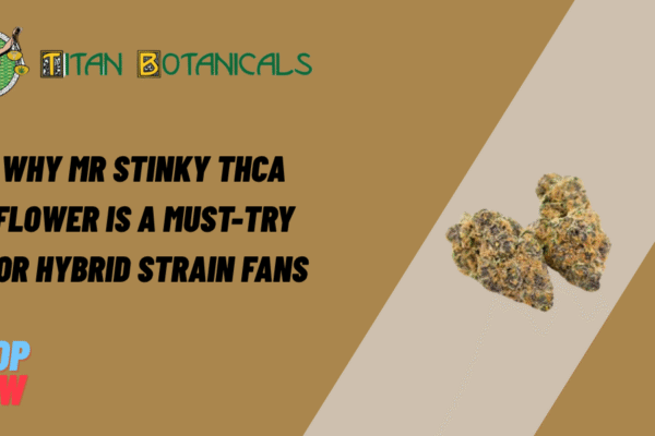 Why Mr Stinky THCa Flower Is a Must-Try for Hybrid Strain Fans Mr Stinky THCa Flower