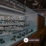 best illinois strains 2024
