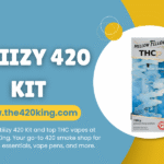 stiiizy 420 kit