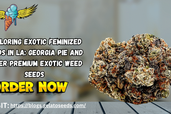 Exploring Exotic Feminized Seeds in LA: Georgia Pie and Other Premium Exotic Weed Seeds Exotic Feminized Seeds