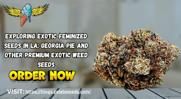 Exotic Feminized Seeds