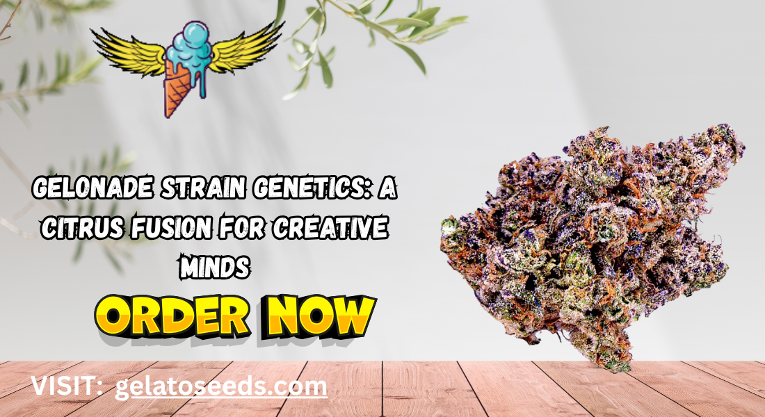 gelonade strain genetics
