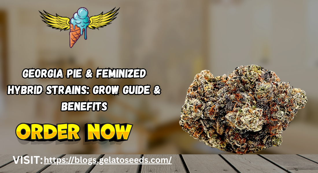 Feminized Hybrid Strains