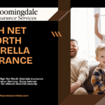 High Net Worth Umbrella Insurance