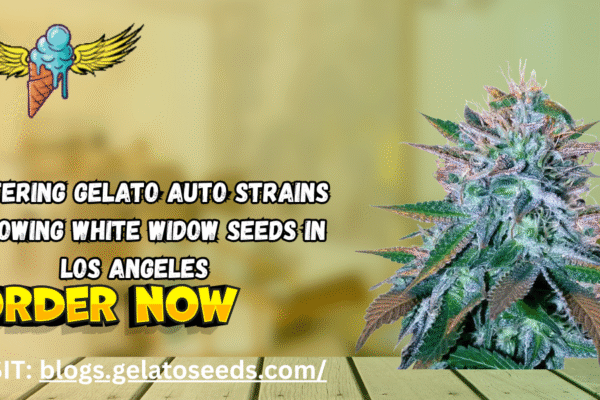 gelato auto