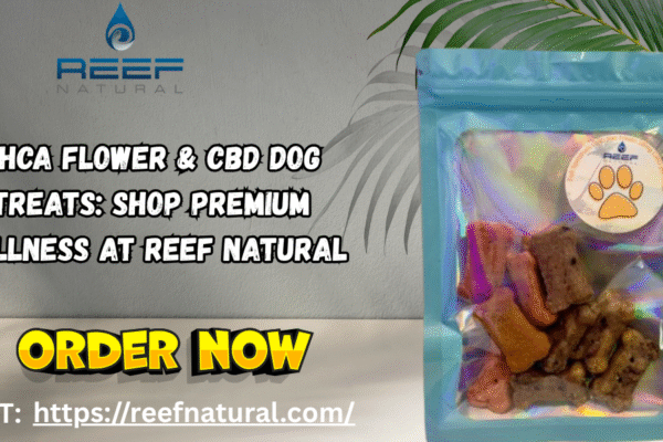 THCa Flower & CBD Dog Treats: Shop Premium Wellness at Reef Natural buy thca flower online
