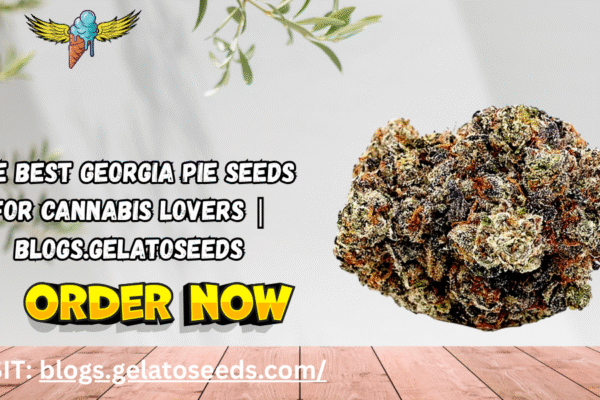 The Best Georgia Pie Seeds for Cannabis Lovers | Blogs.Gelatoseeds georgia pie seeds