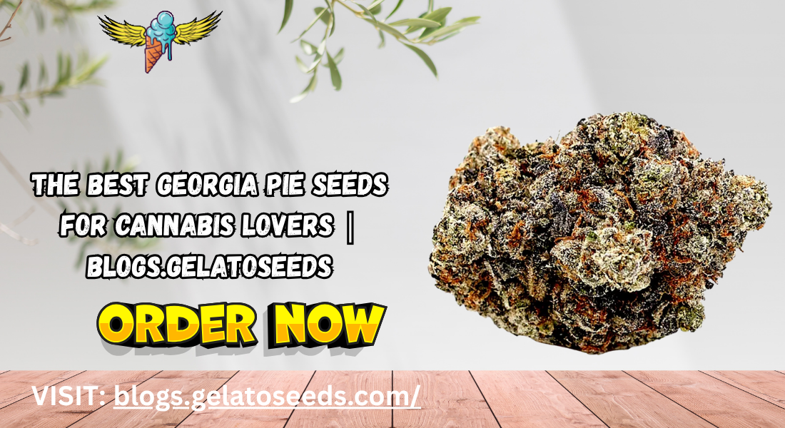 georgia pie seeds