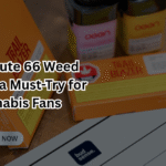 route 66 weed strain