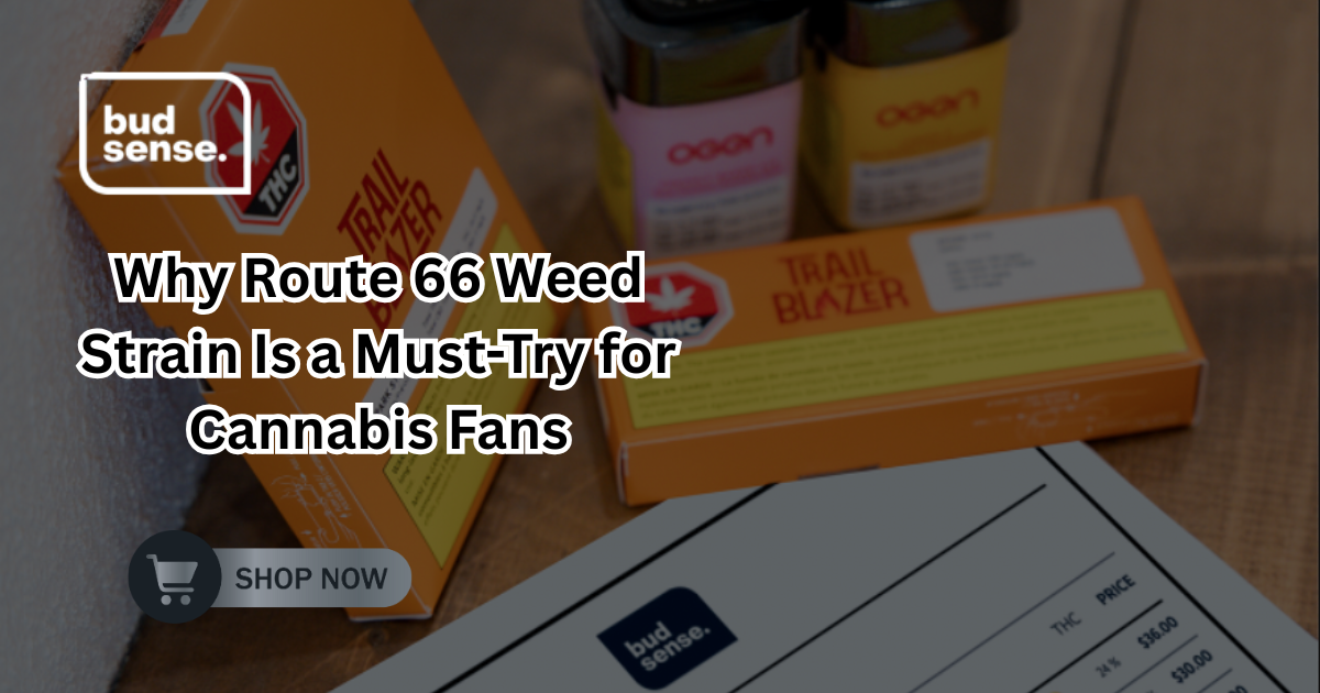 route 66 weed strain