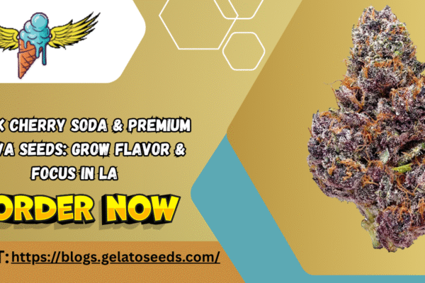 Premium Sativa Seeds