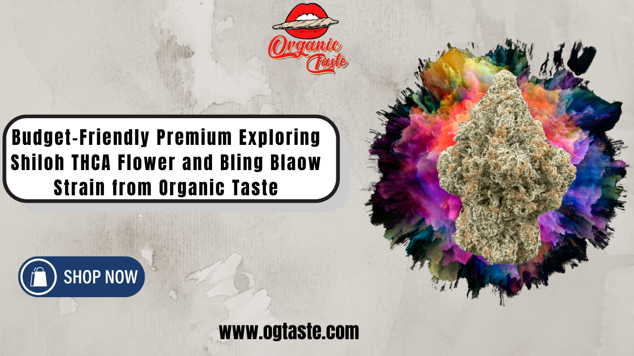 Shiloh thca flower