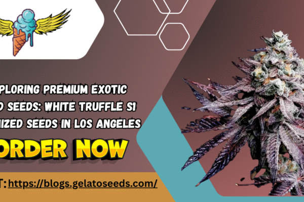 Exploring Premium Exotic Weed Seeds: White Truffle S1 Feminized Seeds in Los Angeles Premium Exotic Weed Seeds