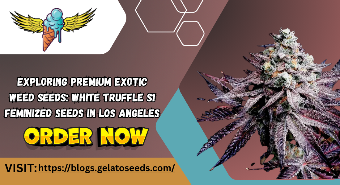 Premium Exotic Weed Seeds