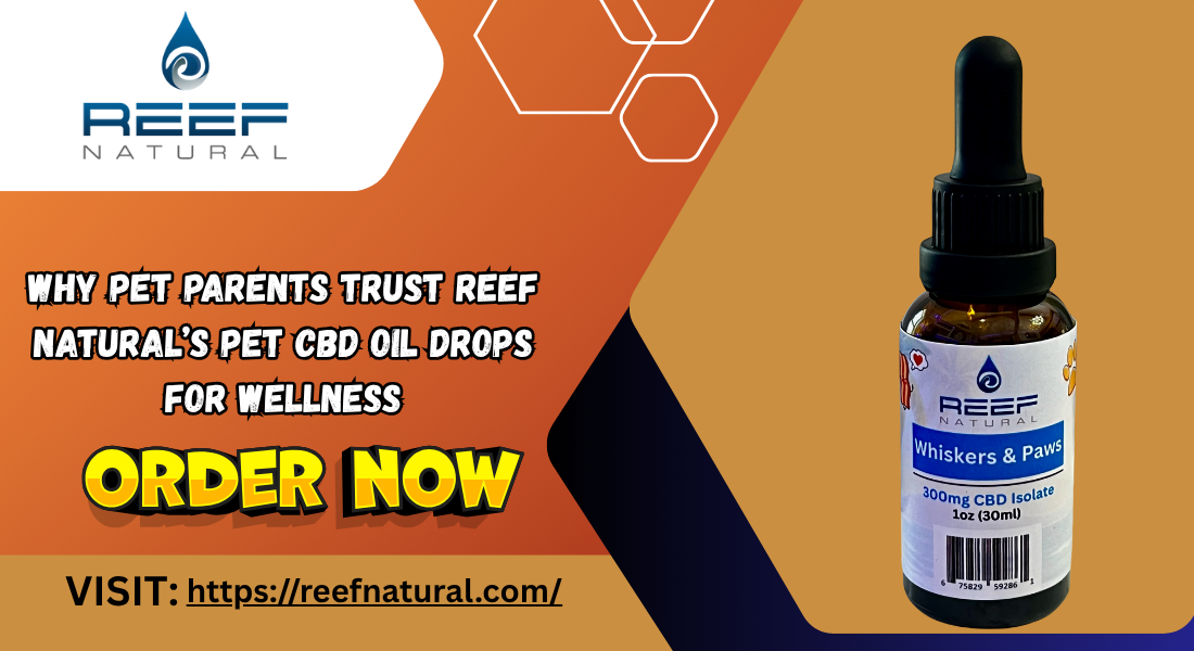 CBD Oil Drops for Pet